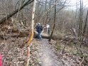 2011-02-03 11-17-28 La Verriere-Le matin YLe